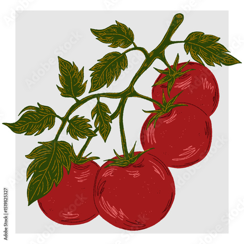 Mediterranean element, exotic tropical. Textured illustration with sketch elements hand drawn