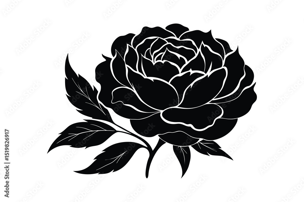Obraz premium Peony hand drawing flower silhouette on white background