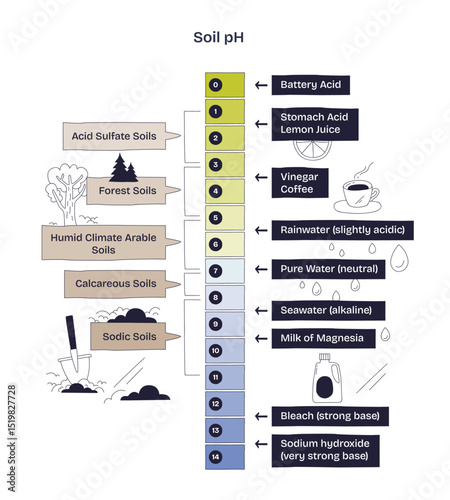 Soil pH is shown with a scale from acidic to alkaline, highlighting soil types, liquids, and icons for soil, water, and pH levels. Doodle style diagram