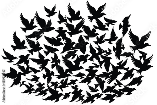 Flock of birds flying together black silhouette on white background vector illustration
