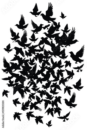 Silhouetted flock of birds doves flying freedom hope peace unity togetherness