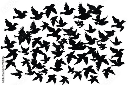 Silhouette illustration of birds in flight forming dynamic and organized pattern