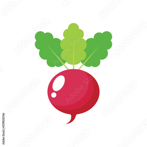 Radish flat vector illustration on a white background
