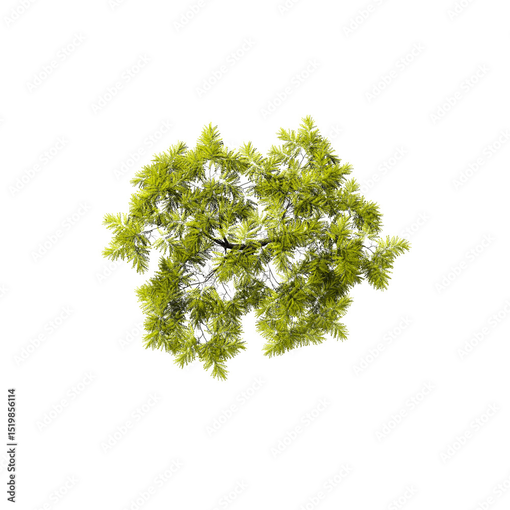 Fototapeta premium Aerial View of a Green Tree: A stunning aerial perspective of a lush, vibrant green tree, showcasing its intricate canopy and leaves, standing tall and strong in the embrace of nature.