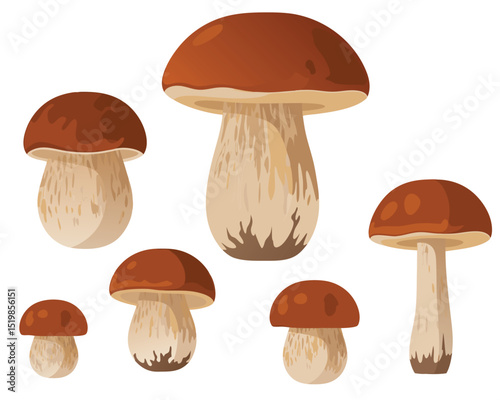 Detailed Illustration of Edible Porcini Mushrooms in a Nature-Inspired Setting