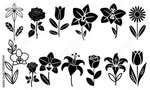 Collection of various flower illustrations, including roses, tulips, and daisies, each with unique shapes and petal designs, displayed in simple, monochrome style