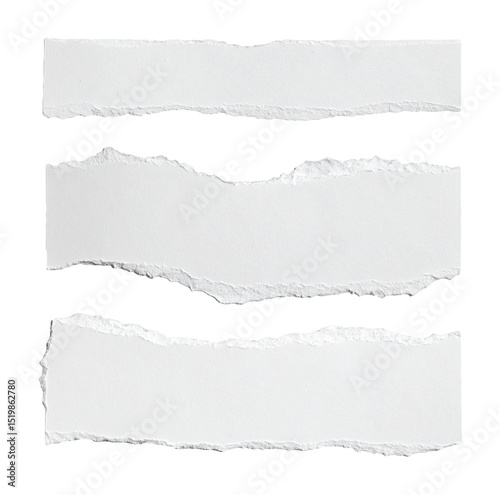 Three Horizontal White Torn Paper Strips