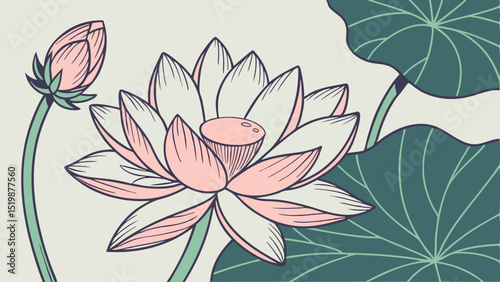 Lotus flower illustration vector art design graphic element botanical drawing floral pattern background image