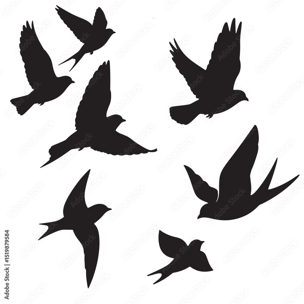 Obraz premium birds flying silhouette