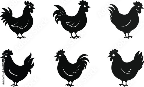 Chicken and rooster farm bird vector silhouette set