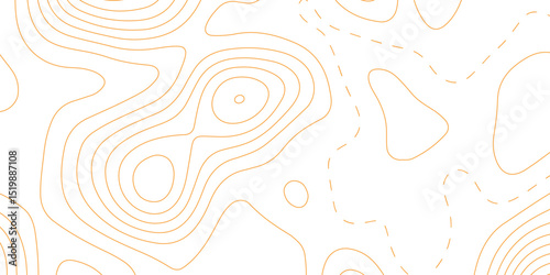 Abstract topographic contours map background. Panorama view gradient multicolor wave curve lines. Retro, patterns, Outline, Vintage, Detailed, Contour, Topographic map. outdoors style, wood, templates