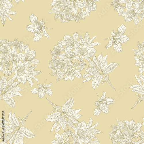 Seamless texture outline flower  twig  rhododendron mountain shrub vintage vector illustration editable hand draw