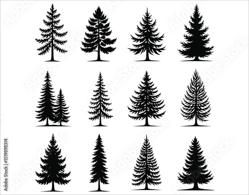 Douglas Fir Tree Outline Silhouettes