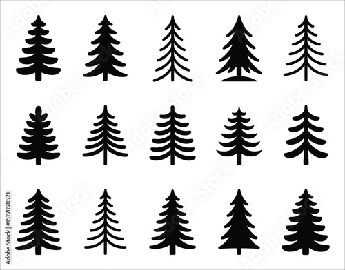Douglas Fir Tree Vector on White