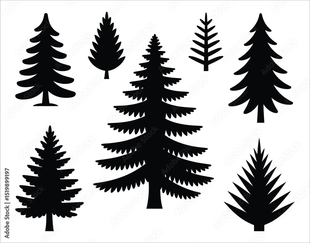 Obraz premium Silhouette Evergreen Douglas Fir Trees