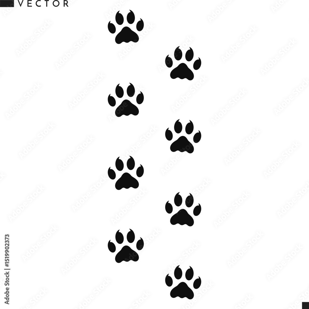 Fototapeta premium Wild animal paw prints. Sumatran tiger paw prints vector illustration 