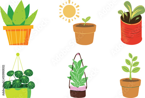 A set of green plants in pots