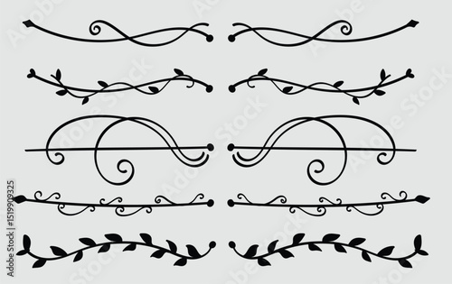 Hand drawn botanical vintage line divider set
