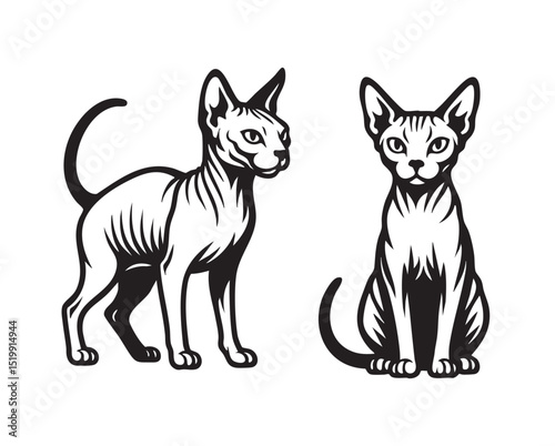 Black and white vector illustration of two Donskoy hairless cats in standing and sitting poses. Minimalist style, perfect for tattoos, prints, or logos. Animal.
