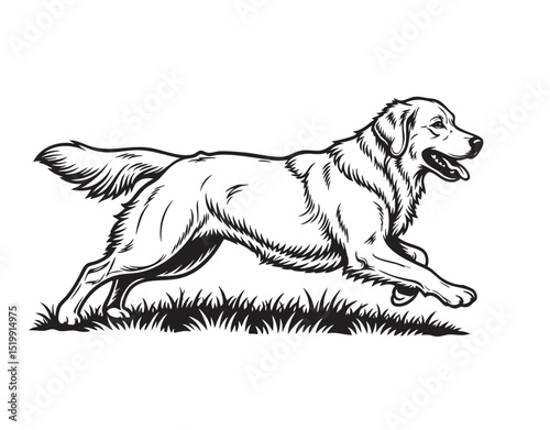 Black and white vector of a cheerful Golden Retriever walking in grass. Ideal for pet logos, breed illustrations, dog designs, and animal-themed prints.