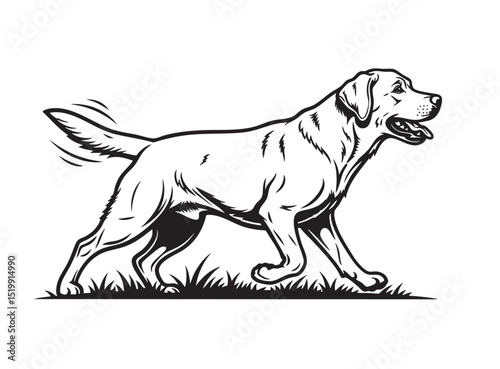 Black and white vector illustration of a happy Labrador Retriever walking with tail wagging. Perfect for pet logos, dog designs, and animal graphics.