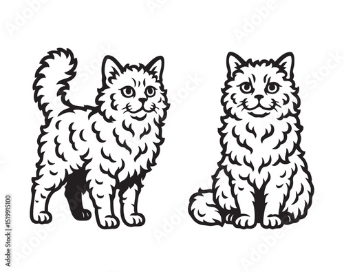 Black and white vector of two Selkirk Rex cats, one sitting and one standing, showcasing curly fur and calm expressions. Perfect for pet and breed artwork. Animal.