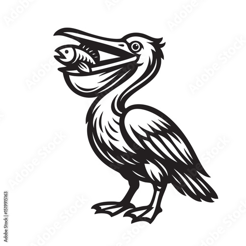 Black and white vector of a spot-billed pelican catching a fish in its beak. Fun, detailed design perfect for wildlife logos, prints, and aquatic themes. Bird.