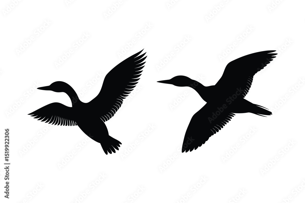 Obraz premium Loon silhouette vector illustration, Set of Loon silhouette