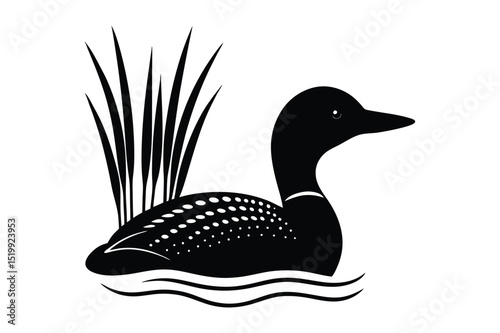 Loon silhouette  vector illustration, Set of  Loon silhouette