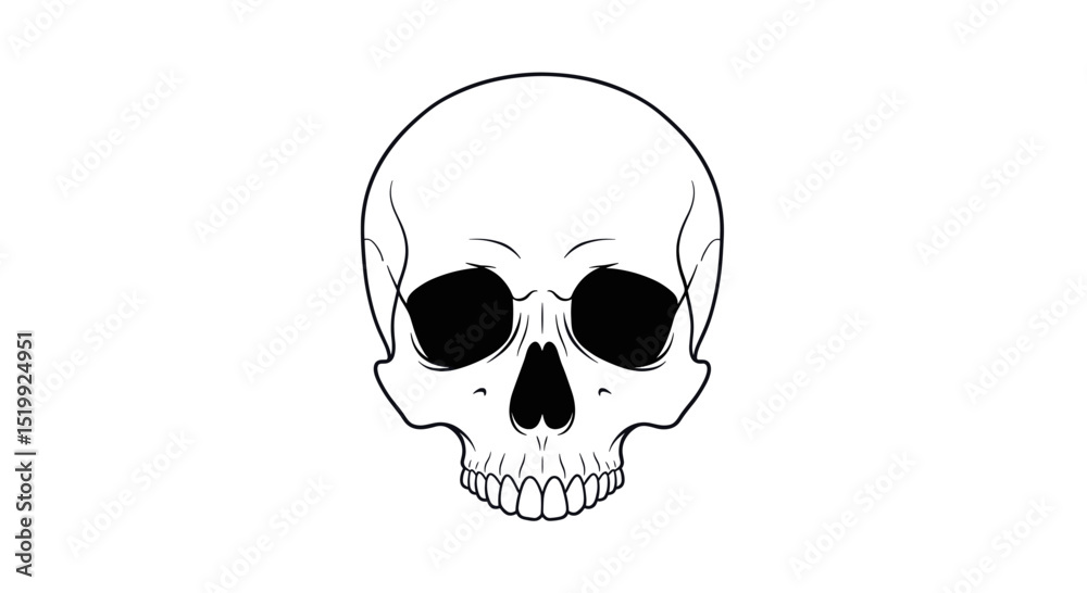 Fototapeta premium Simple Black and White Illustration of a Human Skull Front View Isolated on White Background