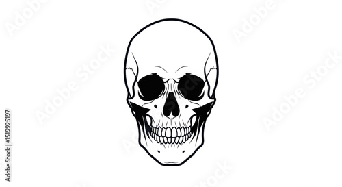 Detailed Monochromatic Skull Illustration with Striking Contrast and Defined Features
