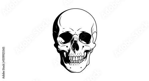 Realistic Skull Illustration with Detailed Features in Black and White Isolated on White Background