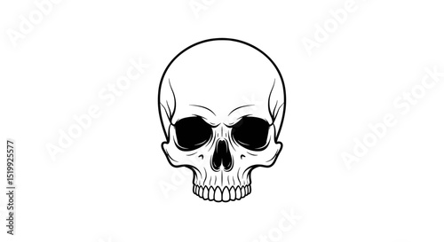 Intricately Detailed Black and White Illustration of a Human Skull Isolated on White Background
