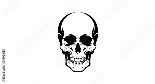 Detailed Monochromatic Illustration of a Human Skull with Dark Eye Sockets Isolated on White Background
