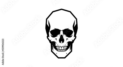Detailed Black and White Skull Illustration Isolated on White Background