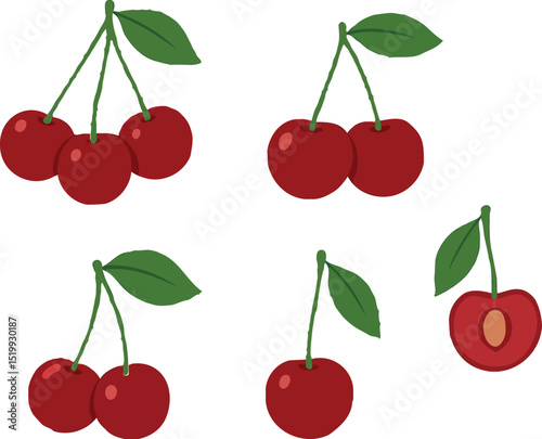 vector illustration of colorful cherries