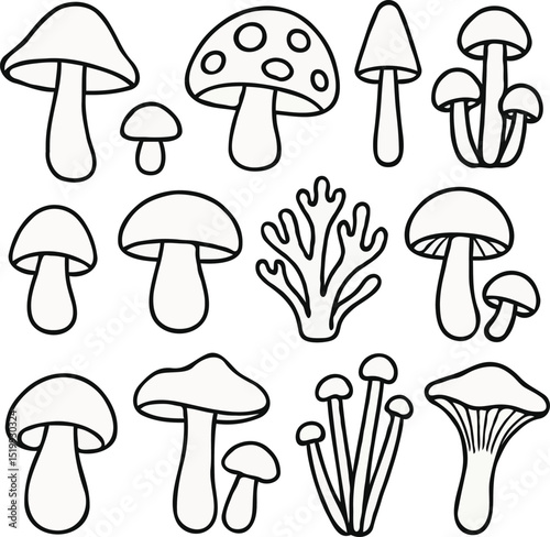 vector illustration of mushrooms