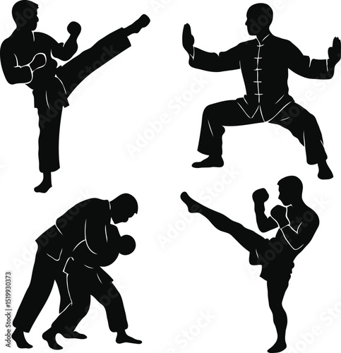 martial arts silhouette