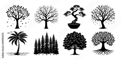 Pine tree silhouettes. Evergreen forest firs and spruces black shapes, wild nature trees templates. Vector illustration woodland trees set on white background