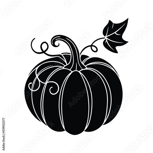 Pumpkin Vine Vector Silhouette