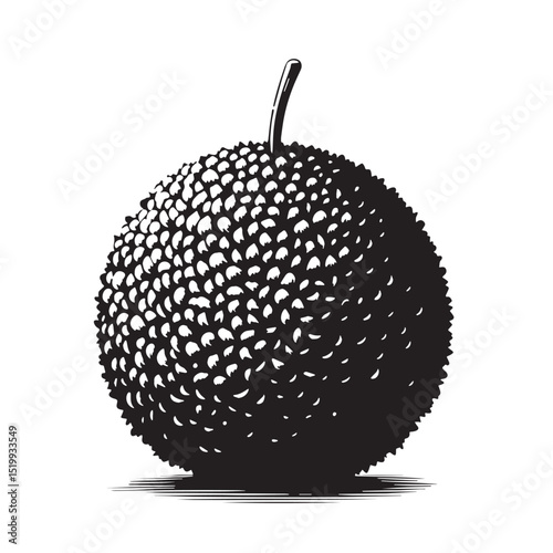 Black Arancini Silhouette Vector, High Quality Illustration on White Background