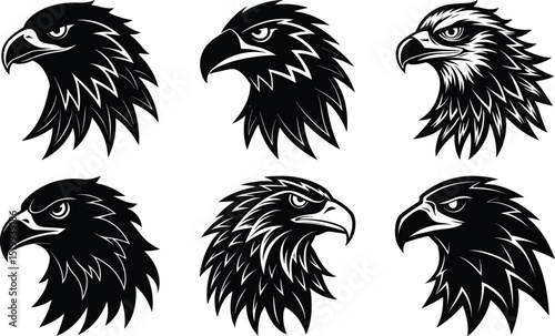 Eagle head silhouette vector set, bundle of bird icons isolated on white background