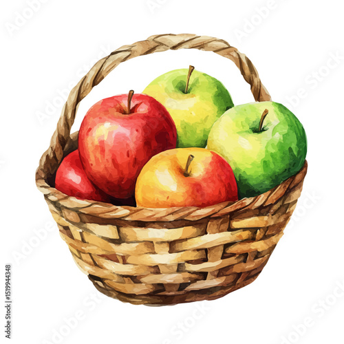 watercolor vector of Apple Fruit Basket, high quality, isolated on a white background.