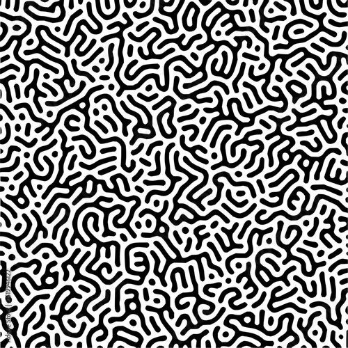 Minimilist black and white turing pattern with complex organic shapes forming an abstract visual texture art vector