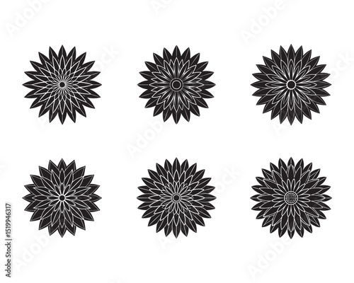 An aster flower icon with thin radiating petals.