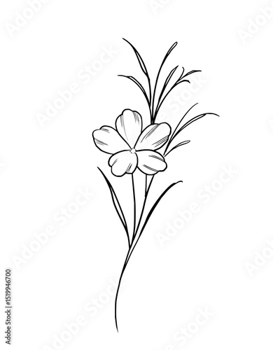 Minimilist a simple line drawing of a flower with five petals and thin leaves on a long curved stem design art vector
