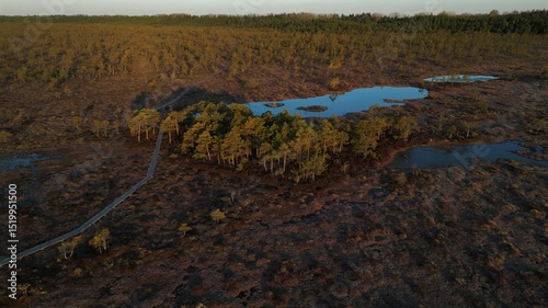 Drone footage of Riisa bog with natural wetland, ponds and forest in Soomaa National Park, Estonia.