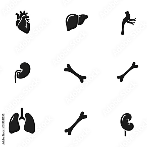 Human organs and bones vector silhouette icon set Simple black medical and anatomical symbols of heart lungs liver kidney and skeleton parts