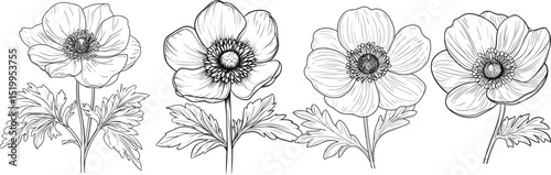 Anemone Flower Bunch in Vintage Line Style,Anemone Flower Bunch in Vintage Line Style