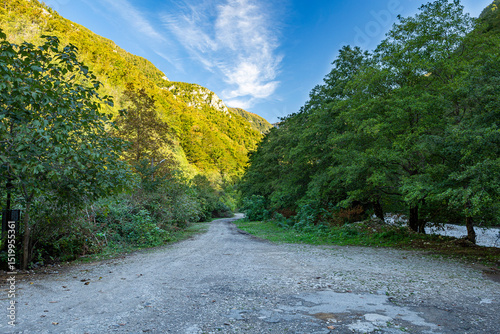 An ancient path that has lost its meaning, along a mountain slope, hidden under the dense greenery of trees and bushes. A bright sunny autumn day.